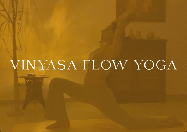 Vinyasa Flow Bacino